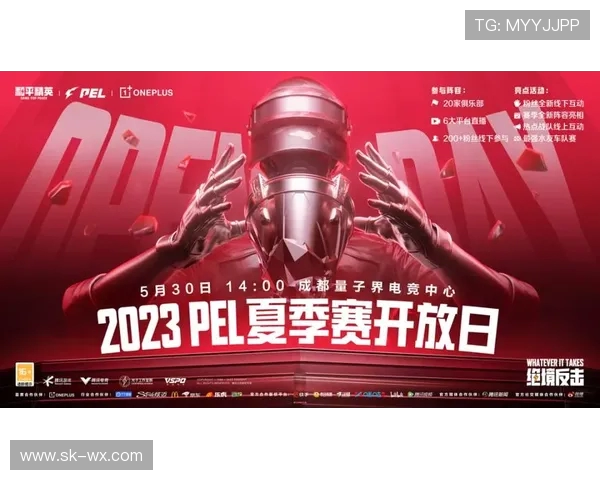 和平精英赛事分析：WE战队凭借出色表现夺得第一名荣耀